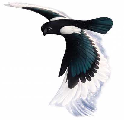 Bild des Vogels aus Soul Wings