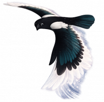 Bild Vogel aus Soul Wings